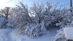 Зимняя сказка. (Февраль 2018г.)