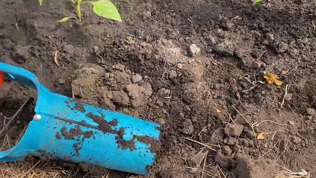 Высадка рассады быстро! смотреть онлайн