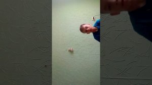 Топ десять трюков на кровати