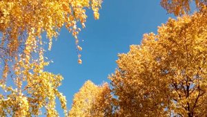 Пруд, природа,отдых