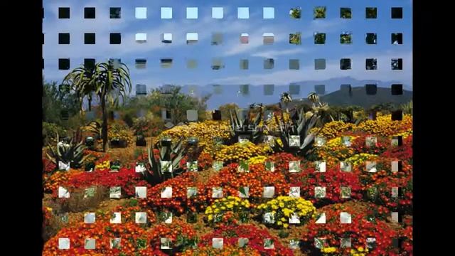 САМЫЙ КРАСИВЫЙ САД АФРИКИ KIRSTENBOSH смотреть онлайн