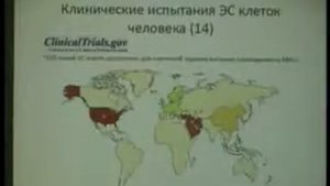 Эмбриональные стволовые клетки, которых не существует