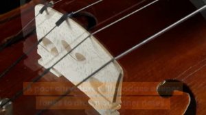 Best Violin Bridge. Things you need to know when choosing a violin bridge.  最好的小提琴琴桥.