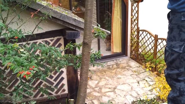 Opiwan test serpe Fiskars X3 смотреть онлайн