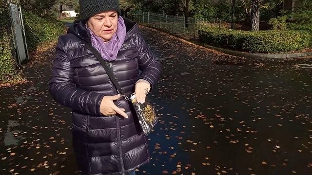 Что можно купить в Гудвиле