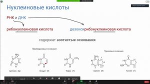 Вселенная внутри нас — основы молекулярной биологии