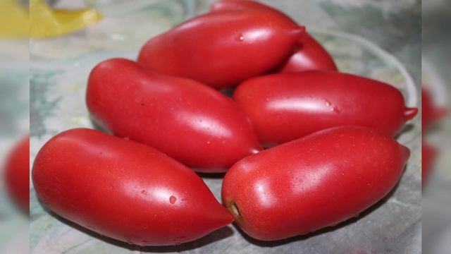 Эти Томаты растут Огромными гроздьями! Посадите их в 2022 году смотреть онлайн