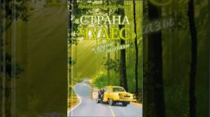 Страна чудес и другие рассказы Протоиерей Андрей Ткачев 33