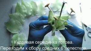 Мастер класс по сборке цветка гиппеаструма из полимерной глины/хол. фарфор