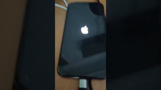прошу помогите,iphone X включается и выключается на зарядке