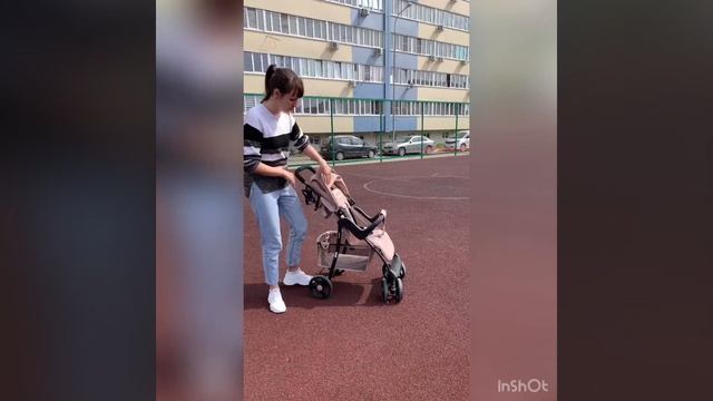 Коляска Babyton