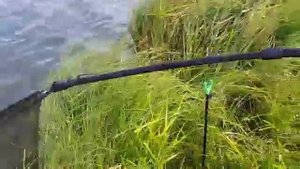 Рыбалка брянск озеро кубовая