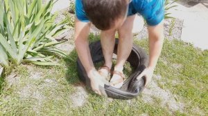 Поделки из шин. Клумба из колеса