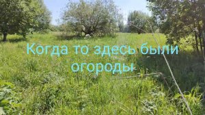 13 июня 2023 г.