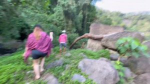 PALM HILL RESORT|HIDDEN PARADISE