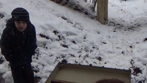 Сказочный квест Лесовичок Боровичок