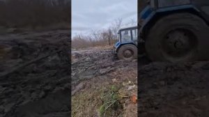 что может по грязи МТЗ. сила . трактор.что такое мощь.как.