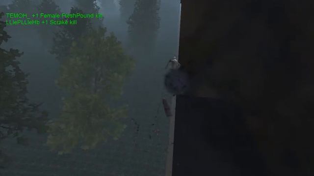 KillingFloor 2015/11/15 15:28:31 смотреть онлайн