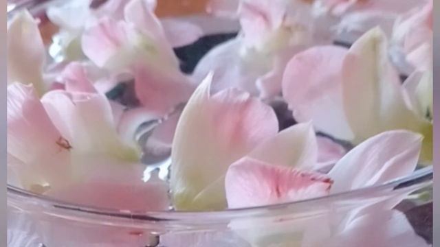 МЕДИТАЦИЯ ОСВОБОЖДЕНИЯ ОТ ТРАВМ, негативного прошлого опыта смотреть онлайн