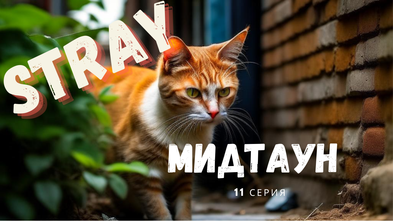 Stray: #11 Мидтаун -- Stray: Midtown