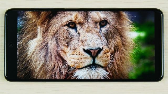 ФОТОФЛАГМАН ДЛЯ НАРОДА за 12000р? X50 ? 8\128, NFC, 64Mp + 32Mp, ВСЕ ВКЛЮЧЕНО смотреть онлайн