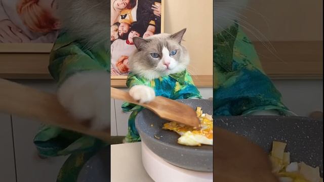 #short #Cat # Pet #Cute Chef Catie Puzzy Cooking Food | Милый кот готовит 2021