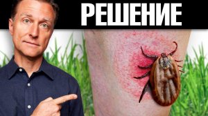 При дефиците этого нутриента от боррелиоза не избавиться