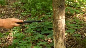 №1 Три пальца - Tajima G-Saw 240 (клен - плотнее и тверже дуба)