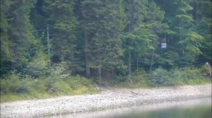 ЗОЛОТО КАРПАТ