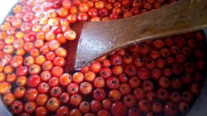 Вкусно готовим-КРАСНАЯ РЯБИНА.Варианты приготовления. Полезно!