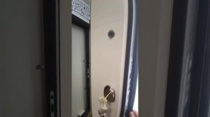 Входная дверь Дверной Континент Эверест беленый дуб с зеркалом в пол