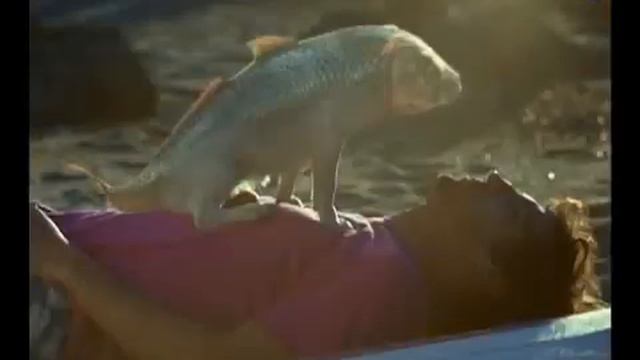 2009 - Cannes Lions - Каннские львы - DOG FISH