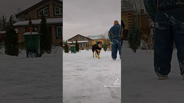 Хотошо. Реальная Охрана.