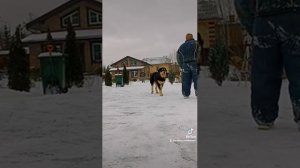 Хотошо. Реальная Охрана.