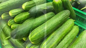 Первые слова Учим фрукты и овощи Развиваем речь