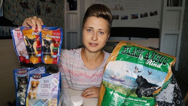 Чем я кормлю йорка с двух месяцев до полугода (питание щенка йоркширского терьера, рацион собаки)