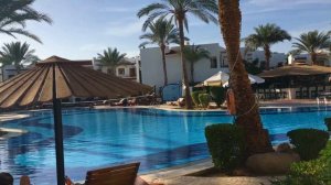 Отель Dive Inn. Шарм эль шейх. Египет. 2019. Отзыв. Дайв Инн Резорт