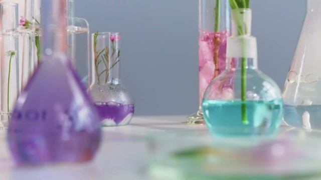 НОВАЯ ЖИЗНЬ в Германии. ВЕЧНЫЕ ХИМИКАТЫ - последнее ПРЕДУПРЕЖДЕНИЕ для немцев ! Германия 2023
