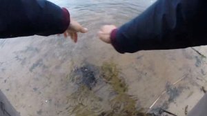 НОВИНКА СПИННИНГА ОТ RELAX DICTATOR 702L. РЫБАЛКА С БЕРЕГА НА ТЕЙЛСПИННЕРЫ. ЩУКА #срыбалки #relax