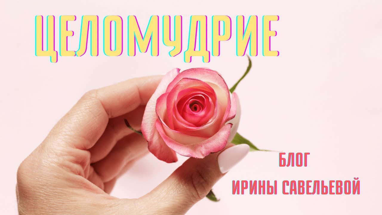 Целомудрие #СКД #БлогИриныСавельевой #смыслы #целомудрие #школаСорадение
