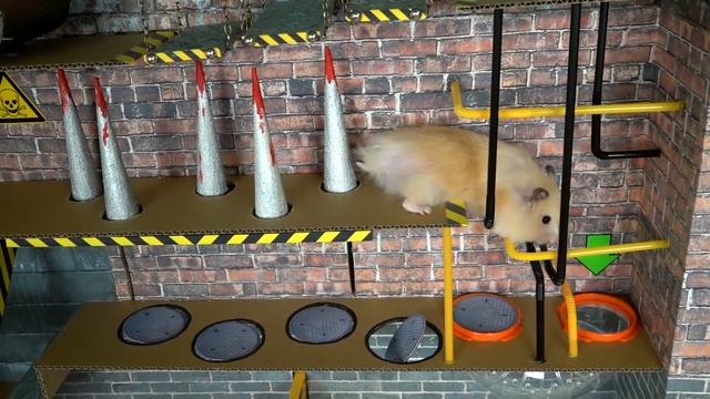 ? Hamster escapes the amazing maze! ? Real life traps смотреть онлайн