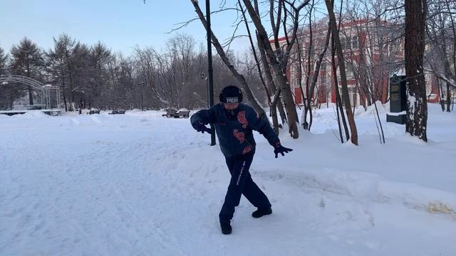 Ицюань / Yiquan #26 / Фубао и Сянлун Чжуан (Усмирение Дракона) / Чжоу Фали / Бег с ударами (91 день