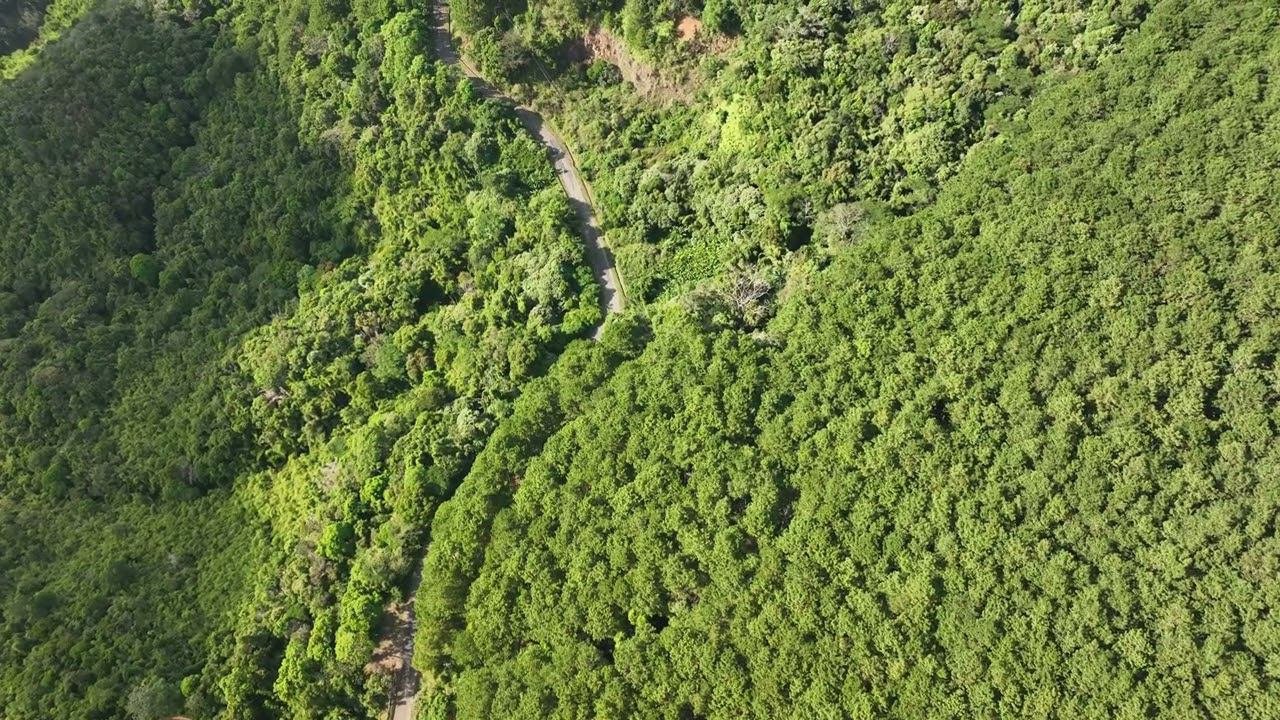 Flying A Copter In The Jungle Un12