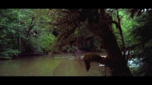 Test | Panasonic Lumix DMC GH4 4k