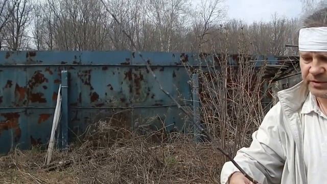 Формировка привитой яблони