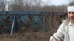 Формировка привитой яблони