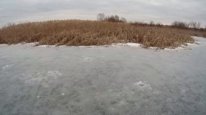 Рыбалка в Липецкой области в глухозимье...