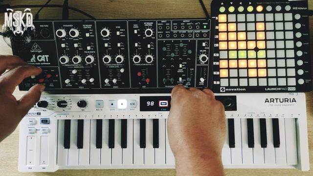 Arctic Waves - MSKD BADGER (Behringer Cat jam session) смотреть онлайн