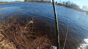 Нормунд ТВ - отчёт Но 4 - фидер, весна, подбор крючков