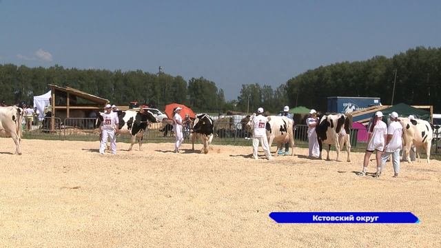 В Кстовском округе стартовал традиционный праздник сельхозпроизводителей «Агрофест 2023»
